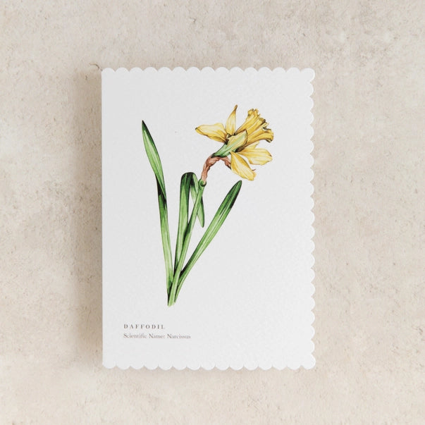 daffodil-watercolour-greeting-card-sophie-brabbins