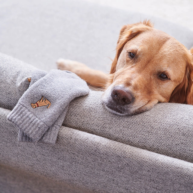 dog-walker-socks-golden-retriever-sweet-william