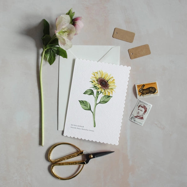 sunflower-greeting-card-sophie-brabbins