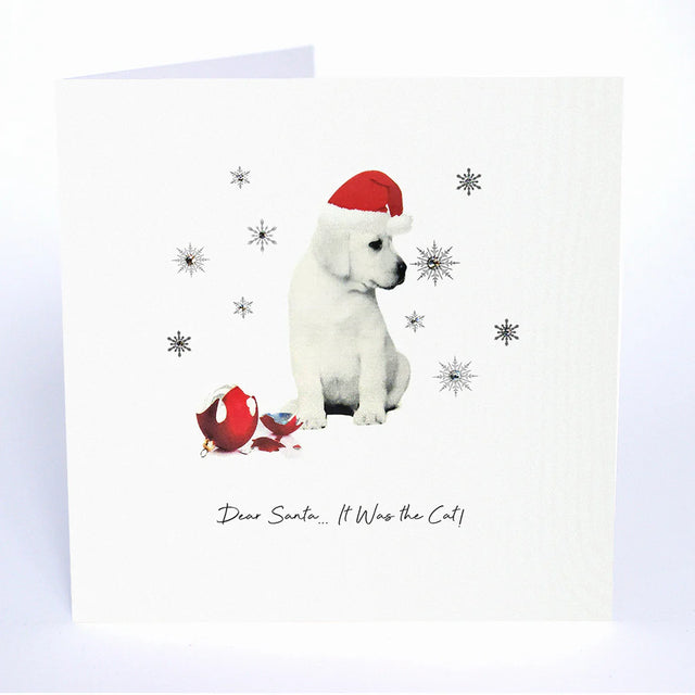 dear-santa-it-was-the-cat-animal-crackers-christmas-card-five-dollar-shake