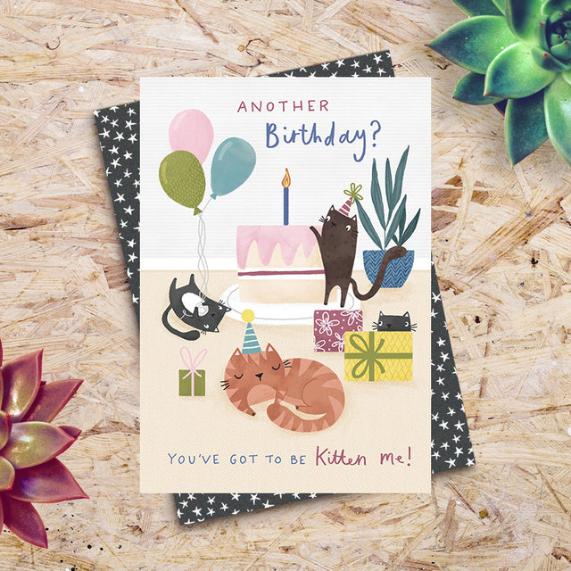 birthday-kitten-me-greeting-card-dandelion-stationery