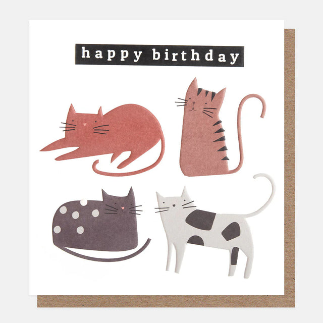 posing-cats-happy-birthday-card-caroline-gardner