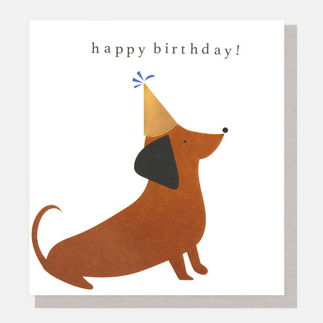 sausage-dog-in-party-hat-birthday-card-caroline-gardner