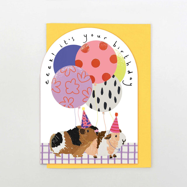 birthday-guinea-pigs-greeting-card-stop-the-clock