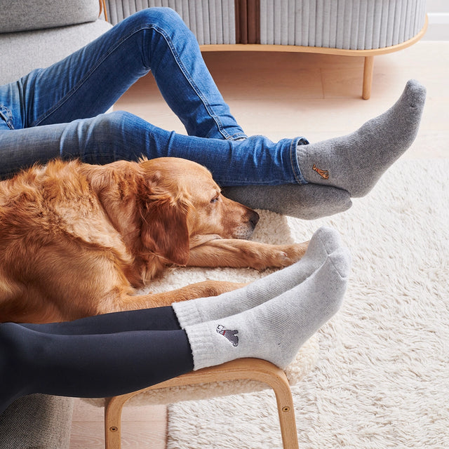 Dog Walker Socks: Golden Retriever