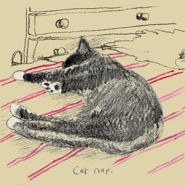 Cat Nap