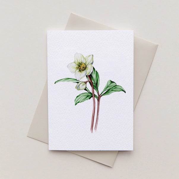 mini-hellebore-watercolour-greeting-card-sophie-brabbins